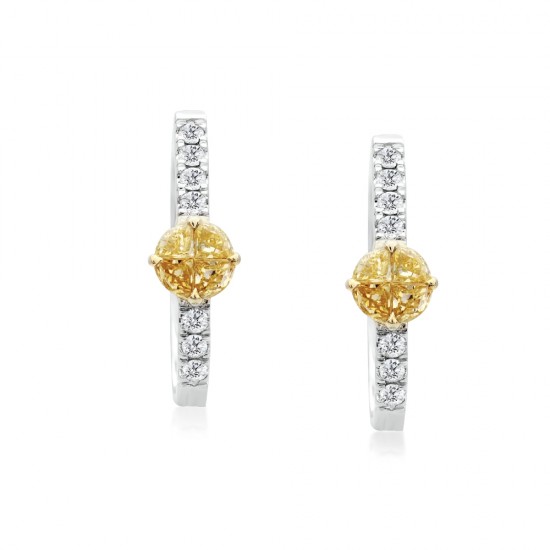 Natural Fancy Yellow Round Cluster Solitaire Diamond Hoop Earrings